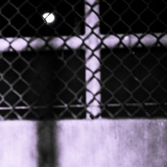 International Art League