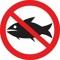no_more_fishes