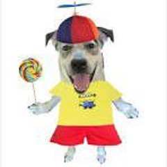Mayor of nerdsville
