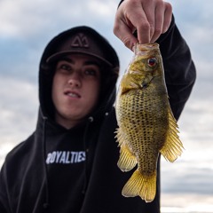 Christopher HIllegas