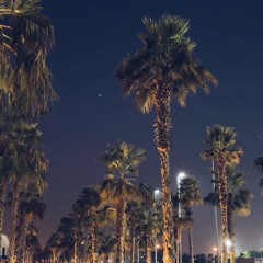 ناصر السبيعي