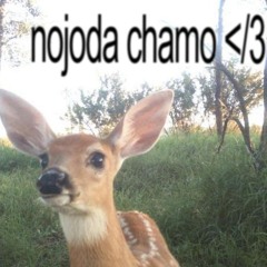 TABLOOOON