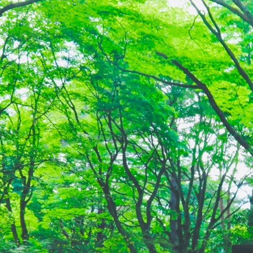 Chorono Trigger and Cross medley