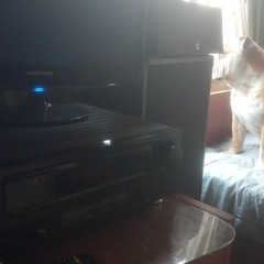 Alejo Prieto Reategui