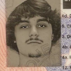andrewdelpino