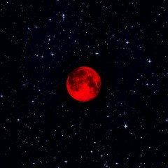 Hossein Mohammadzadeh