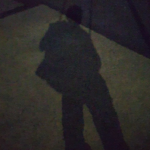 Shadow On Fake Id
