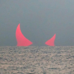 𝚗𝚊𝚜𝚝𝚒
