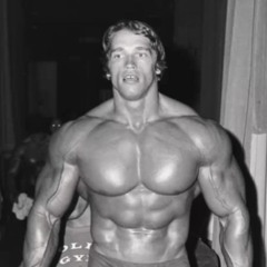 Arnold Schwarzenegger Prime