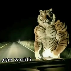 YurX