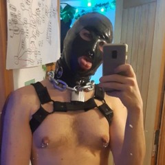 PROUDbullBATOR
