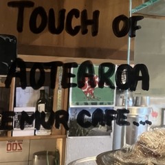 Jasmine Harrison-Lohri