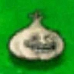 Simonaven265
