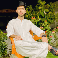 shehzad kurd