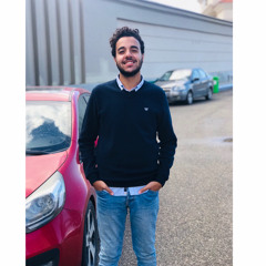 Ahmed R. ElAgamy