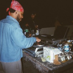 Delvsoul