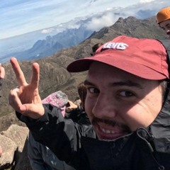 Pedro Henrique Paredes