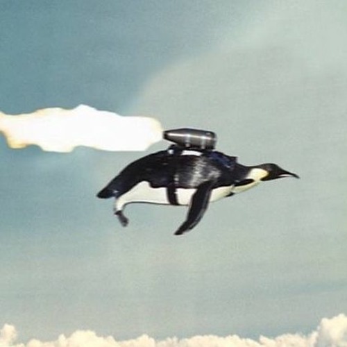 Do Penguins Fly