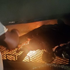 Po Family Cville,ARK