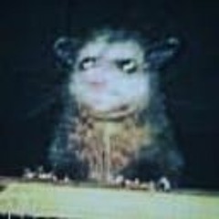 Charlie Critter
