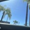 loneboy6k