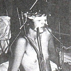 peregrino