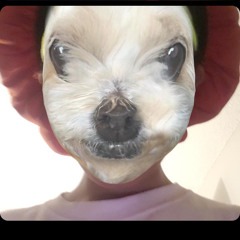 Kim Kim
