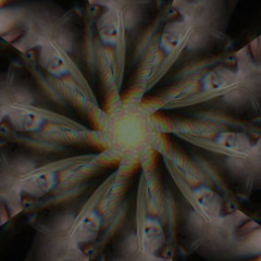R0Z13B