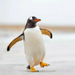 ItsabigPenguin