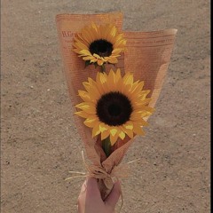 أروى  الدرع