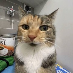 leuiiw