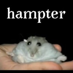 Randomguyontheinternet3630