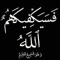 Mostafa Waleid