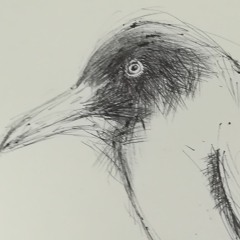 SUPERNATURAL KUNG FU FROM BEYOND THE GRAVE