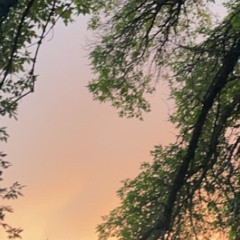 🌾