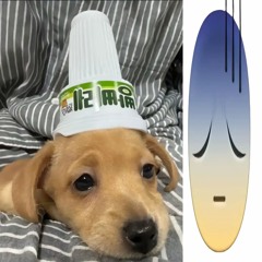 hikimor