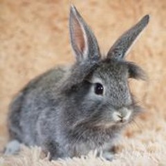 не хочешь поговорить няш