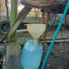 Avto Dadunashvili