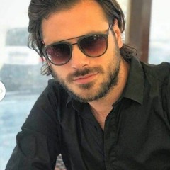 stjepan Hauser