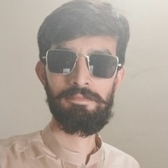 Mian Ali Raza Maqsood