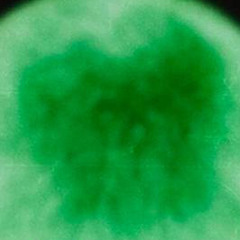 Asier Zubizarreta Burgos