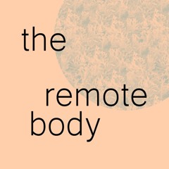 the remote body