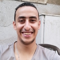 Alaa Elden Ahmed