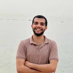 مصطفى حمدي