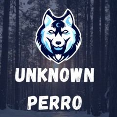 Unknown Perro
