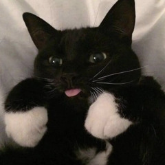 Flauschbaall