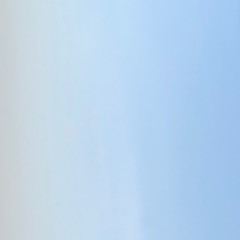 FILE UPLOADING ORGANISM