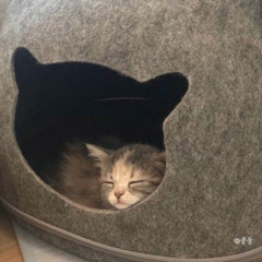 太陽