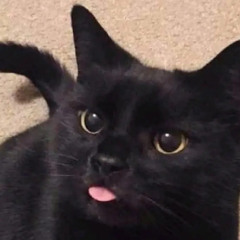 Grim(ﾒ﹏ﾒ)