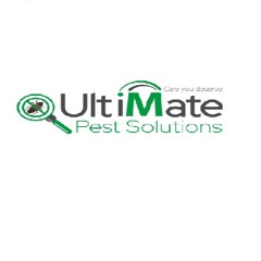 Choosing The Best Rodent Control Company In Toronto